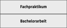 Module des 7. Semesters: Fachpraktikum, Bachelorarbeit